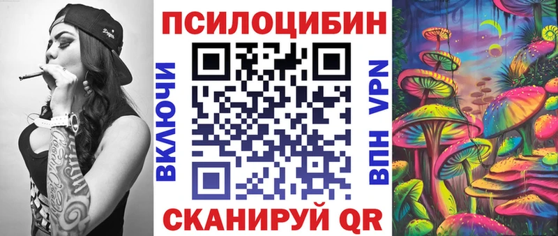 закладки Фурманов Галлюциногенные грибы MAGIC MUSHROOMS