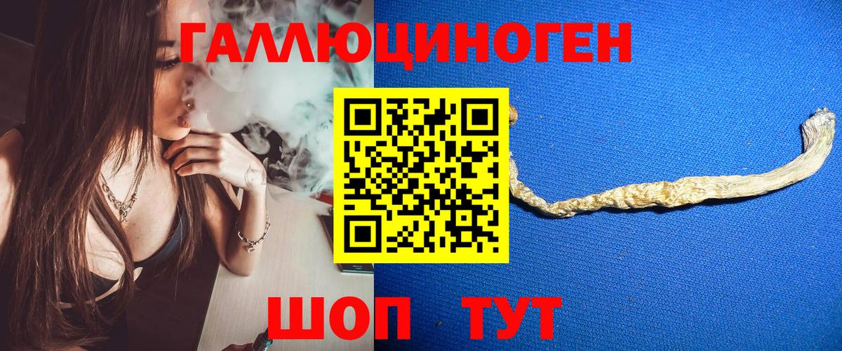 Псилоцибиновые грибы Cubensis  Фурманов 