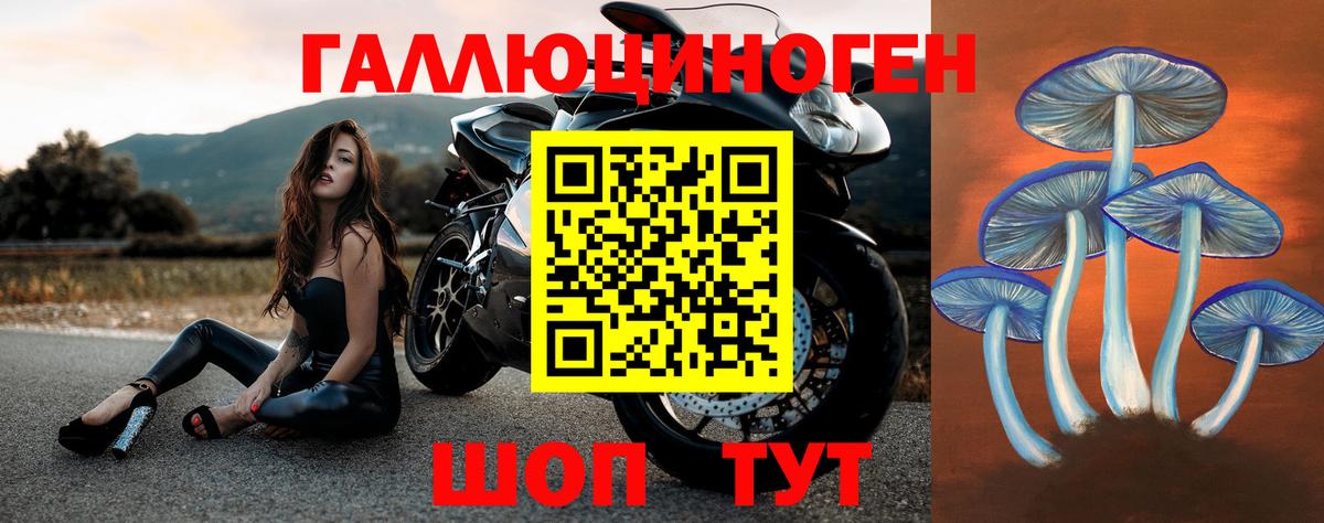 Галлюциногенные грибы Psilocybe Фурманов