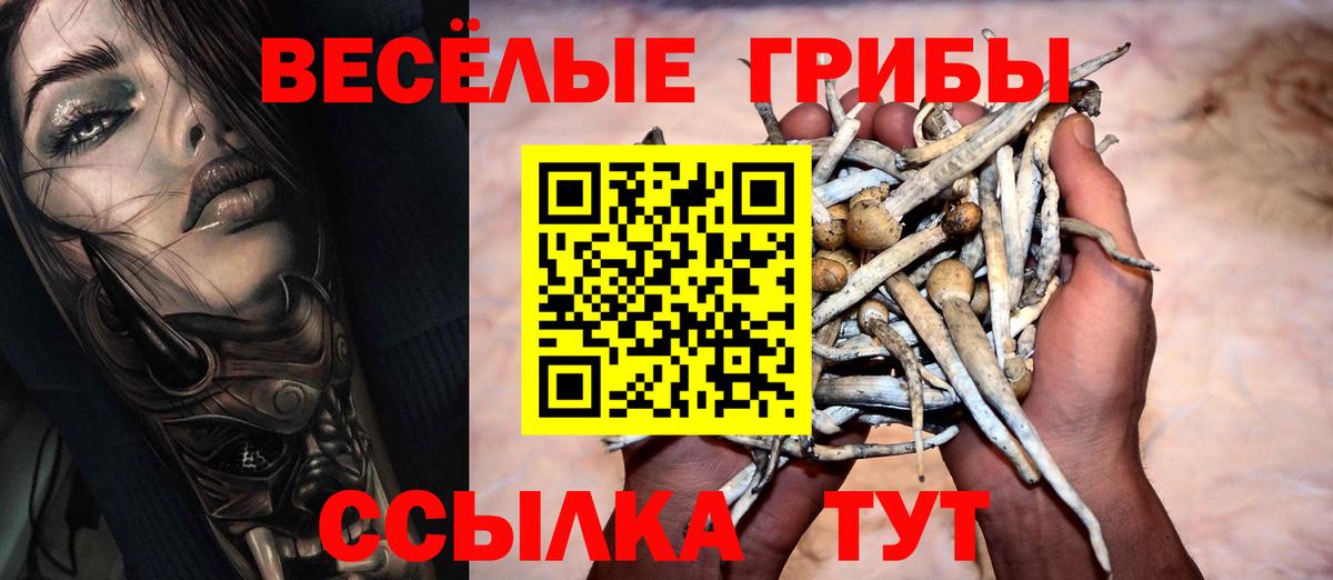 Псилоцибиновые грибы Psilocybine cubensis Фурманов