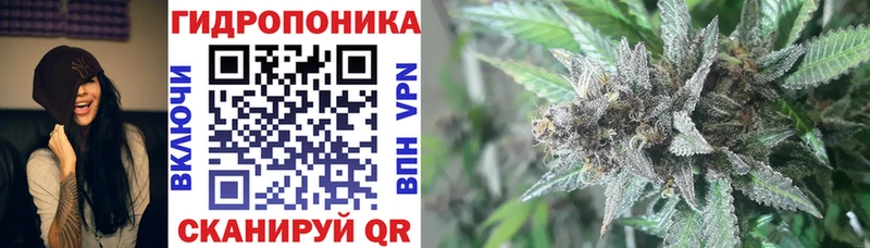 как найти   Фурманов  Конопля MAZAR 